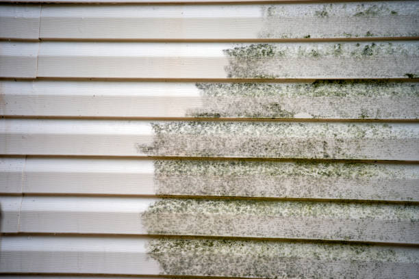 Best Mattress Disposal  in Sullivan, IN